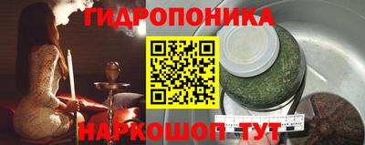 гидропоника Партизанск