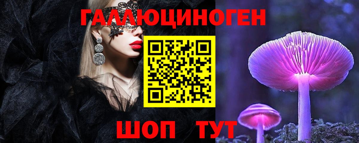 Псилоцибиновые грибы мицелий Старая Купавна